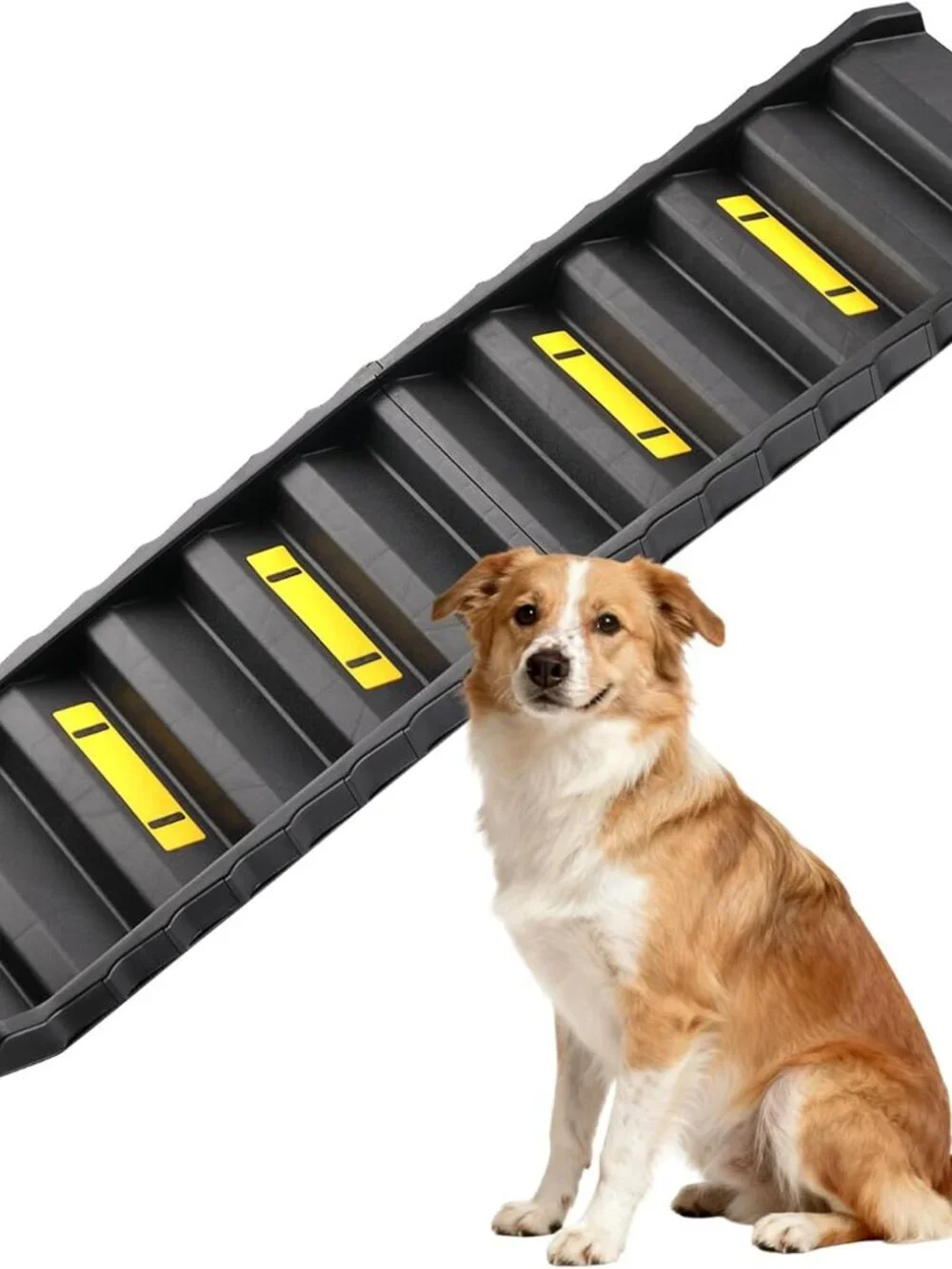 Foldable Dog Ramp for SUVs & Trucks